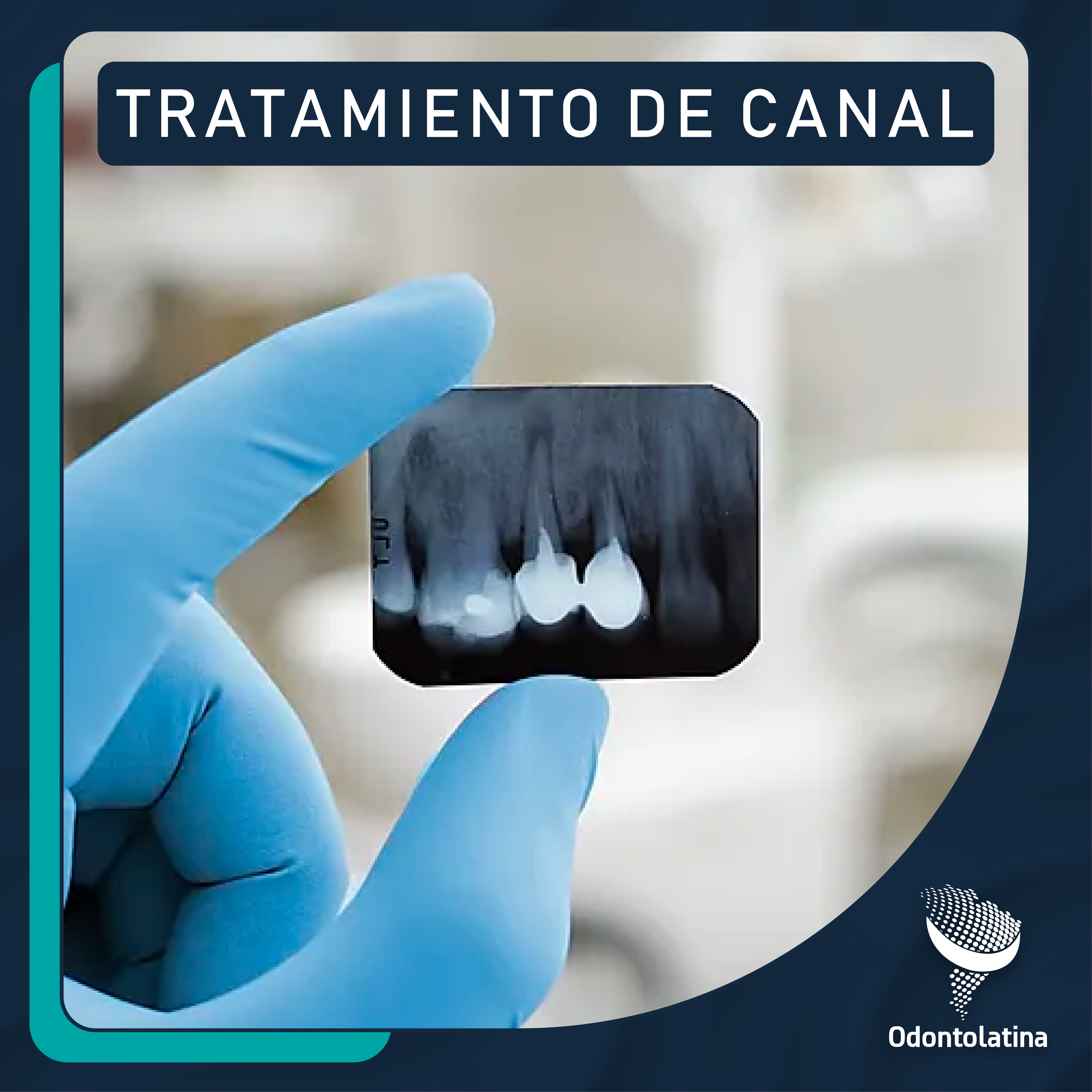 Catalogo Odontolatina v2-05